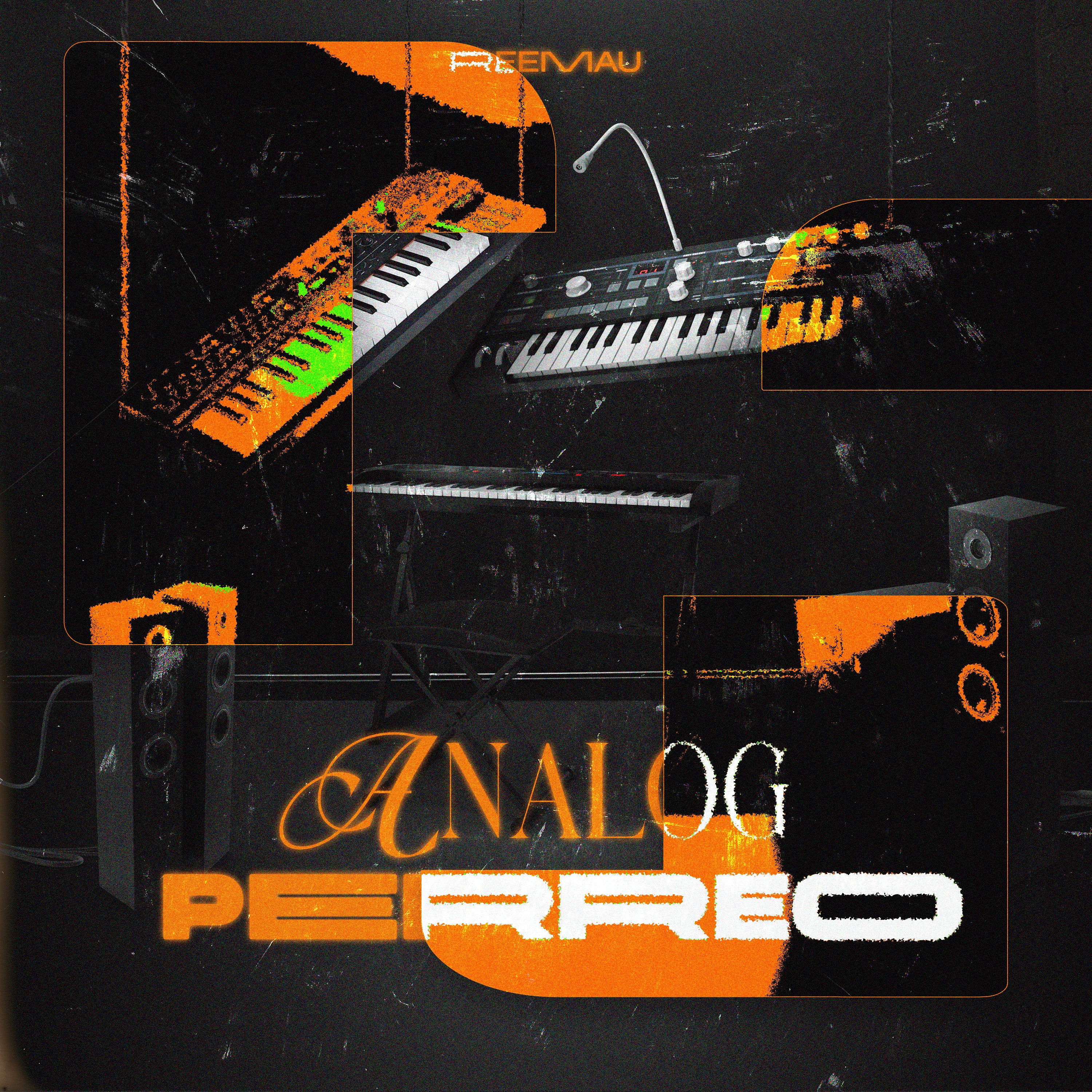 ReeMau - ANALOG PERREO (Bundle Kit)